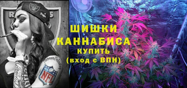гидра Богородицк