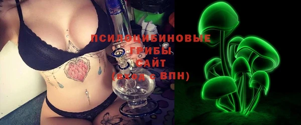 гидра Богородицк