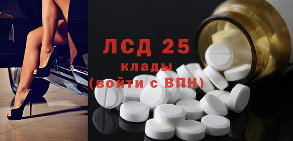 гидра Богородицк