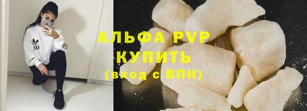 гидра Богородицк