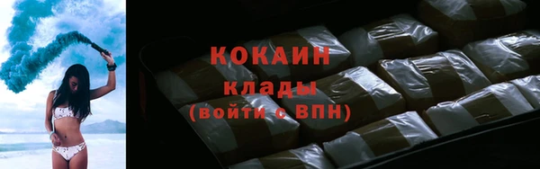 гидра Богородицк