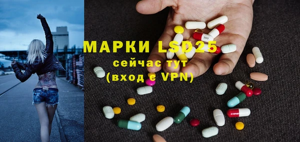 гидра Богородицк