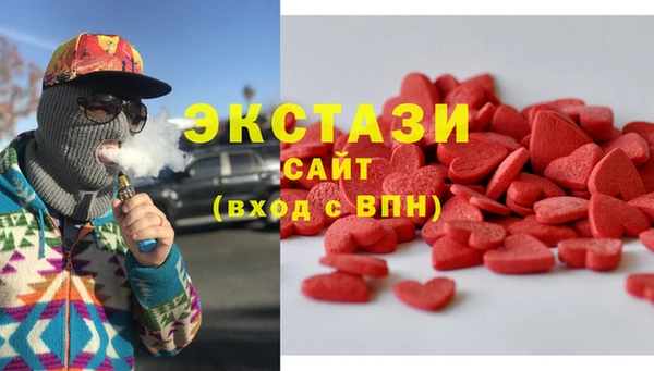 гидра Богородицк
